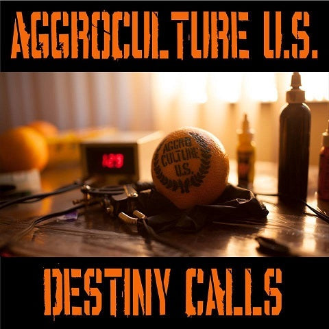 AggroCulture U.S. "Destiny Calls" 7" EP